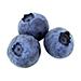 Blueberries