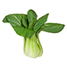 Bok Choy