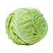 Cabbage