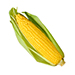 Corn (Sweet)