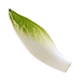 Endive, Escarole