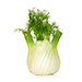 Fennel