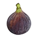 Figs