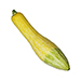 Squash (Summer, Yellow)