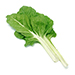 Swiss Chard