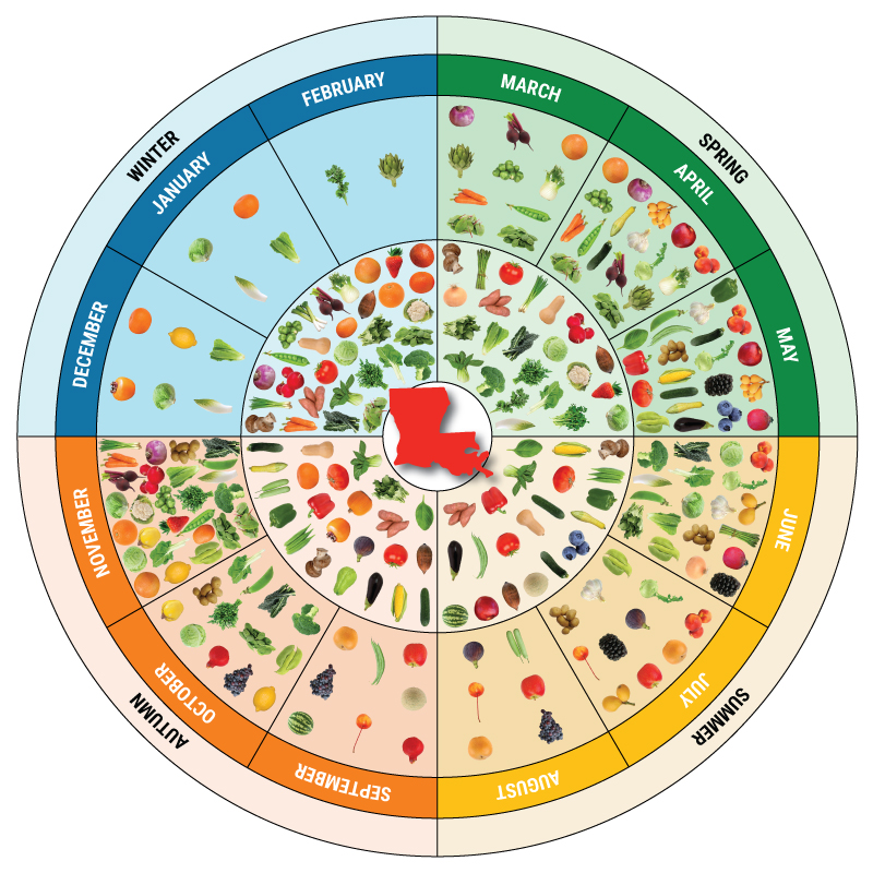 Louisiana Cycle Menu Seasonality Wheel